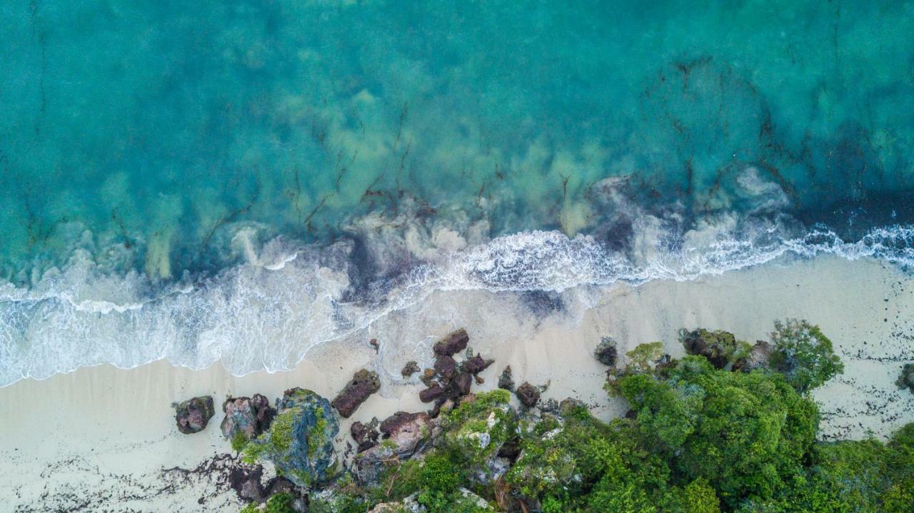 Vila Msambweni Beach House Exteriér fotografie